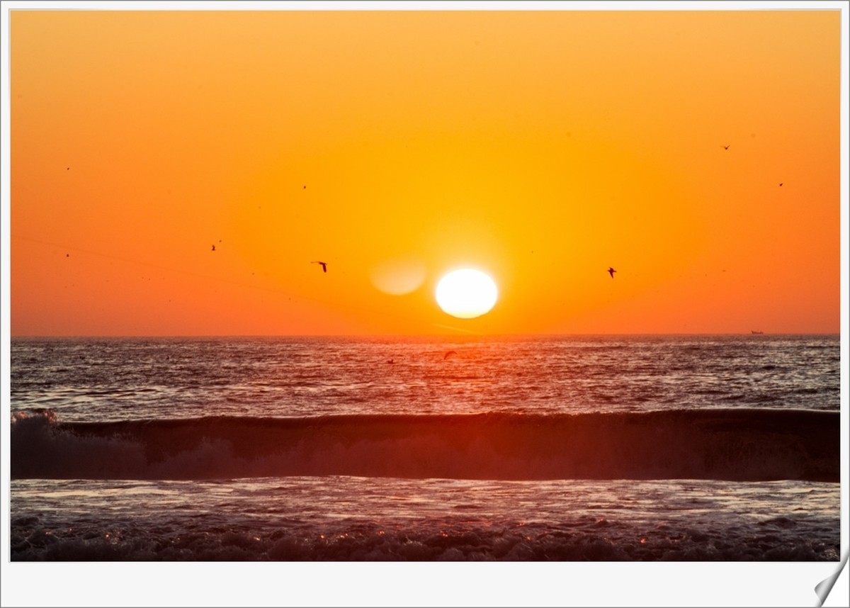 携“沙海日落（摩洛哥）”--辞旧迎新，祝师友节日快乐！！