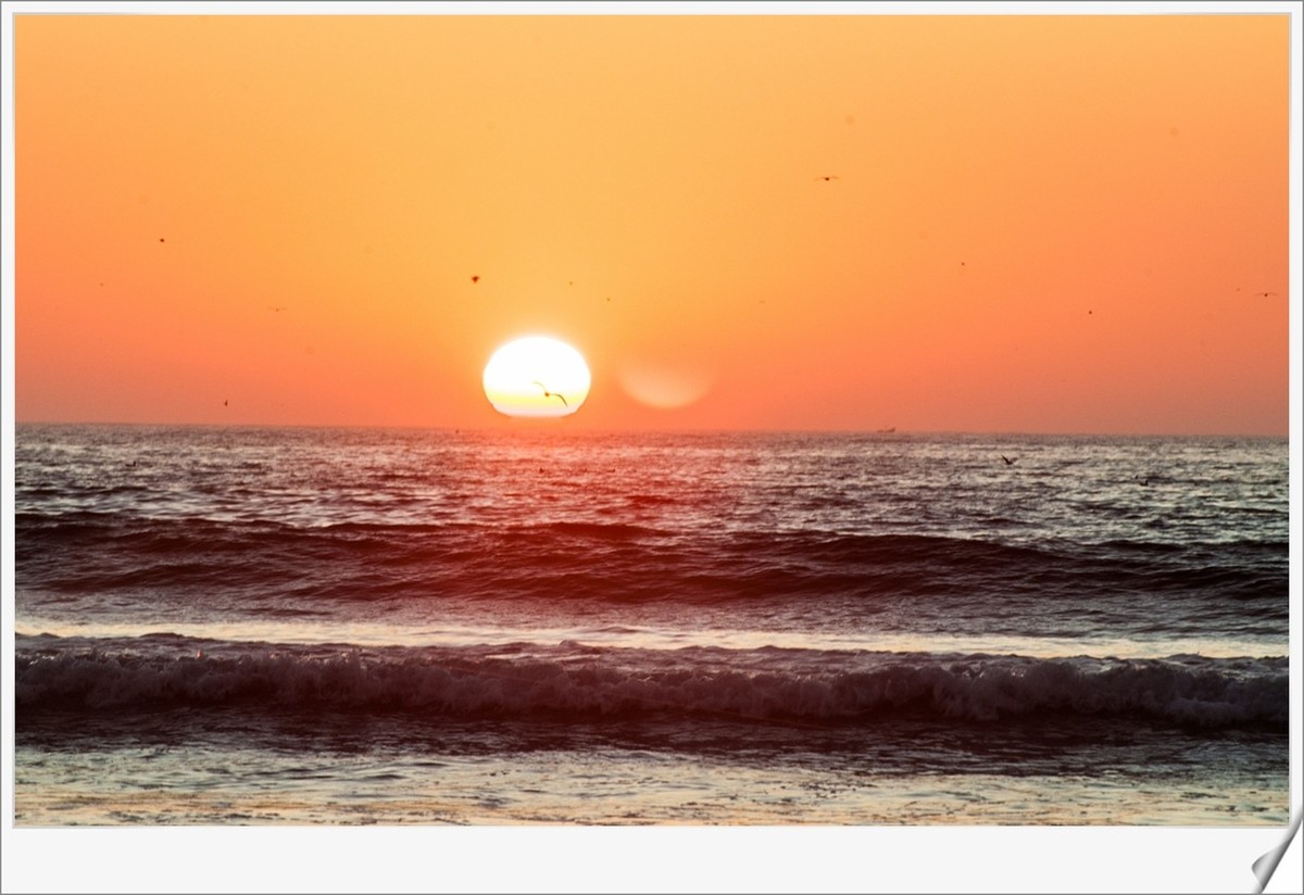 携“沙海日落（摩洛哥）”--辞旧迎新，祝师友节日快乐！！