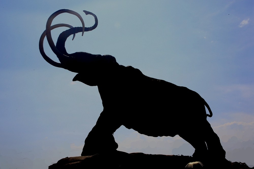 《不老松：纪实摄影》驰骋呼伦贝尔6猛犸公园之4