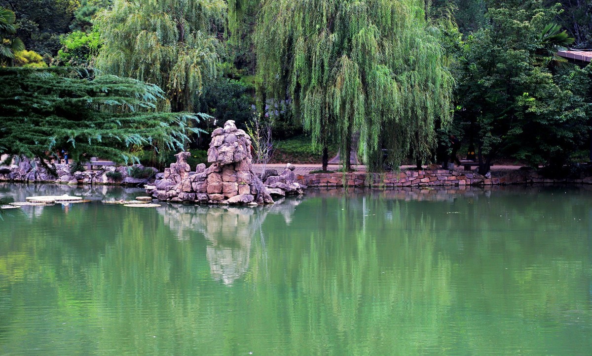 西苑公园2