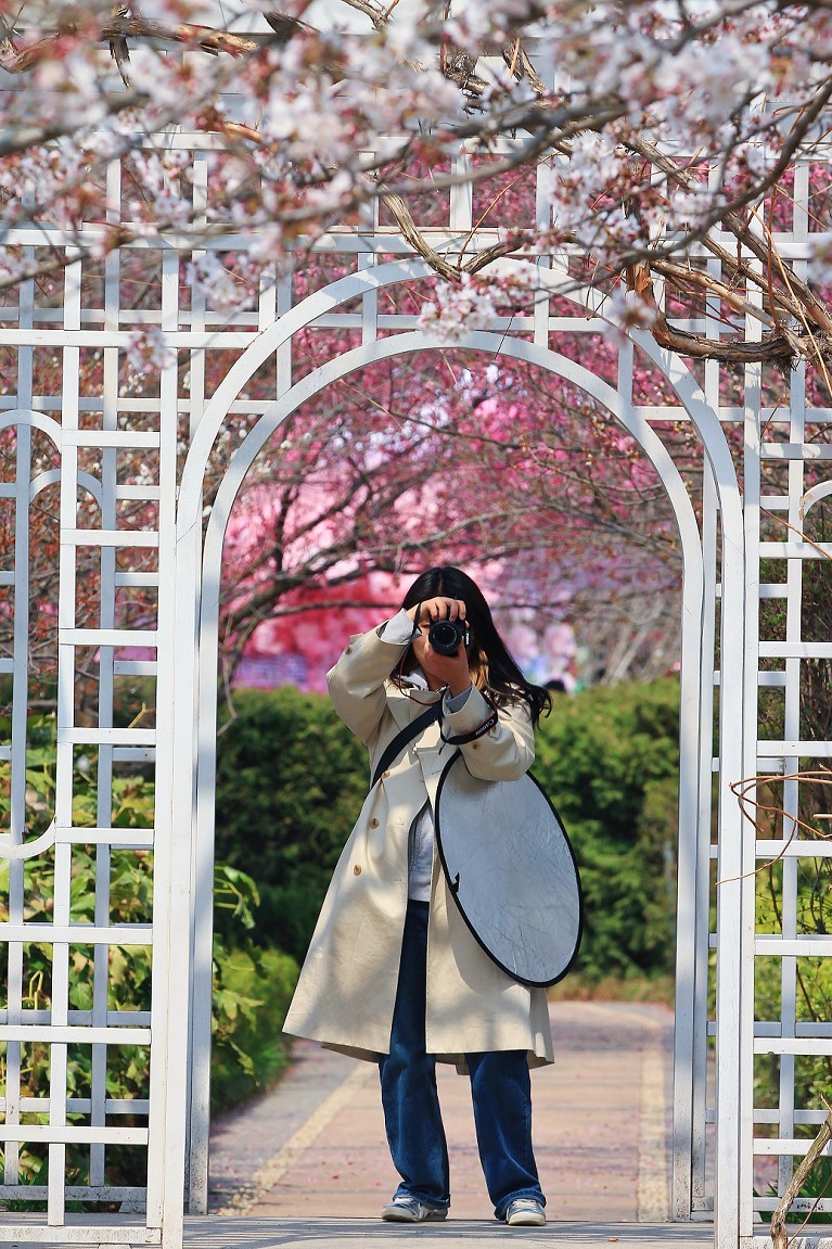 请假出个热闹帖《樱花节中忙活的美女们》唉！今年事多，又要出去趟过几天再回来！