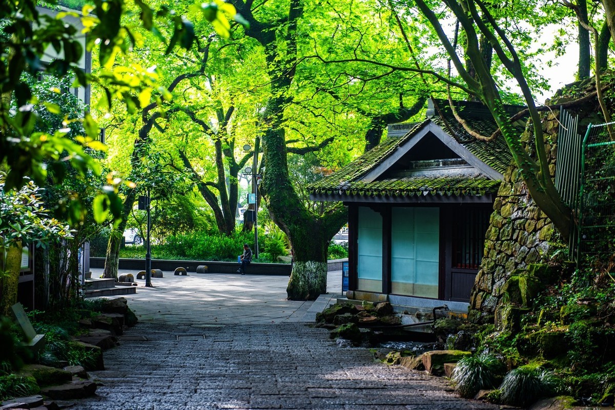 杭州—六和塔(7)