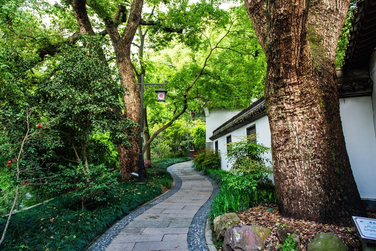 杭州—六和塔(7)