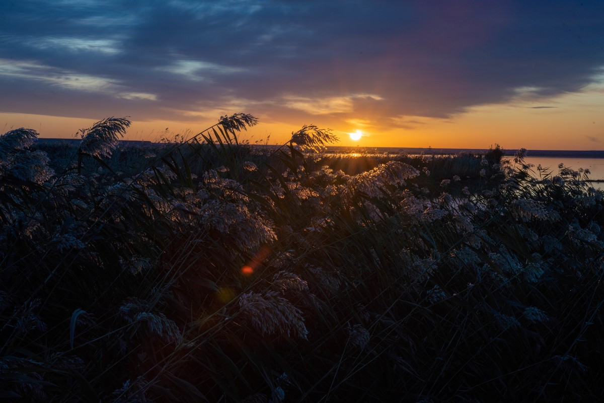 日出与夕阳  额济纳，阿拉善盟，内蒙古