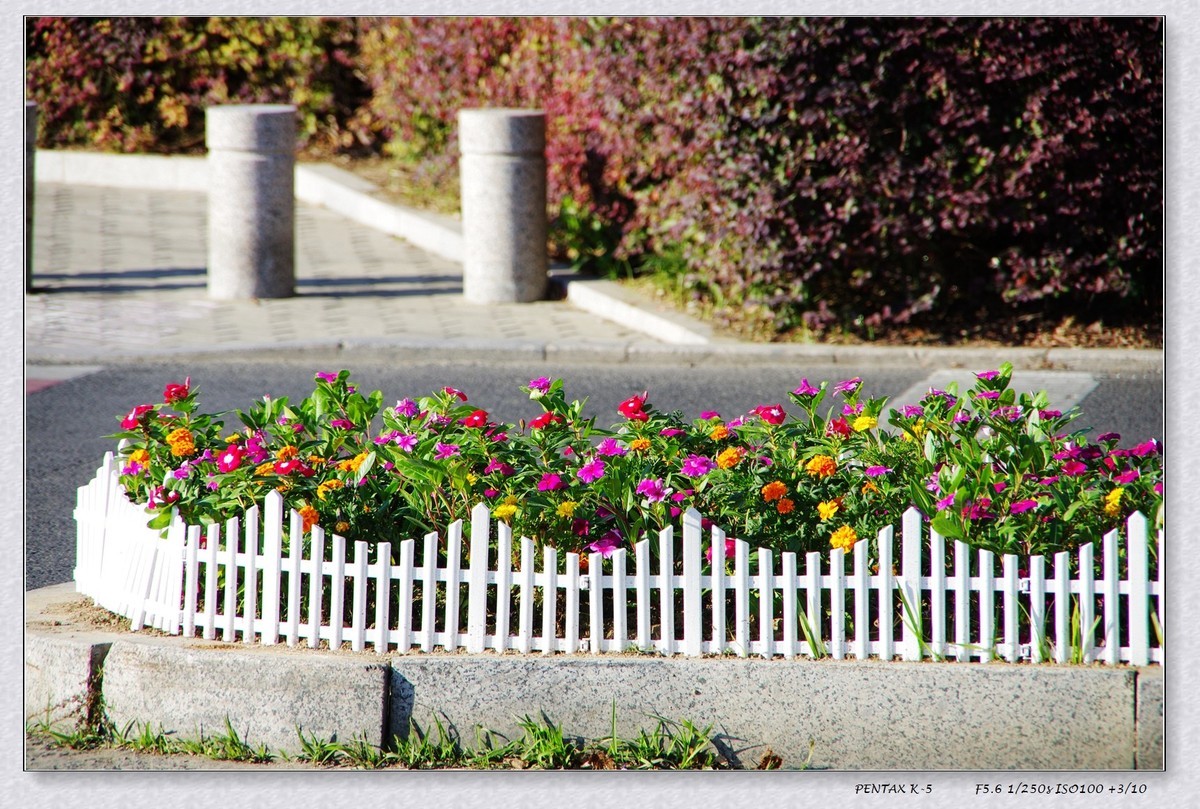 2024年国庆节扫街 重温宾得色彩
