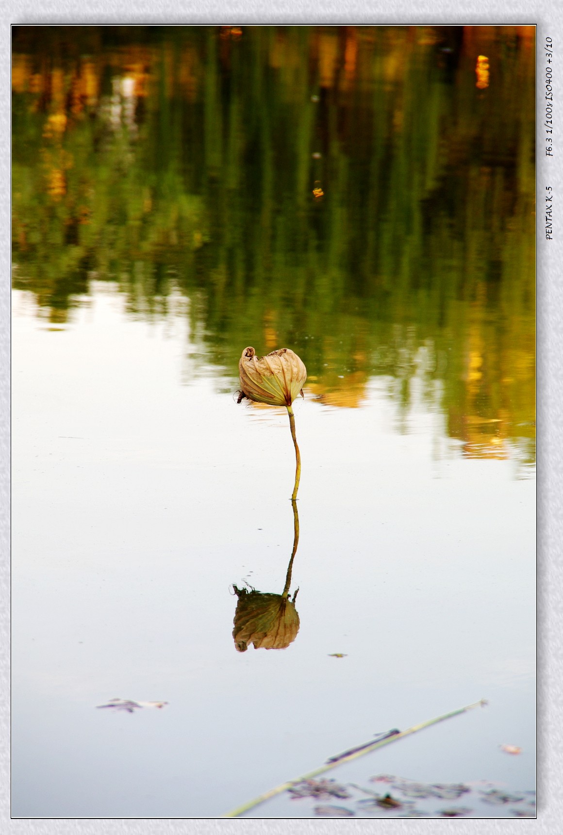 2024年国庆节扫街 重温宾得色彩