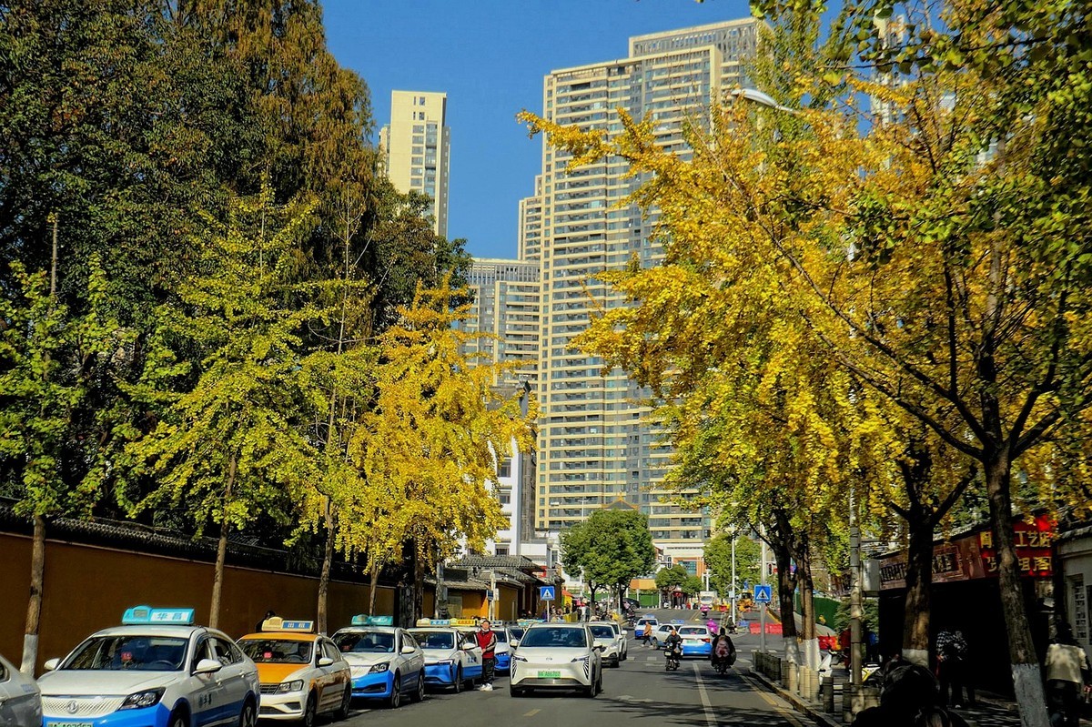 归元寺风光与银杏六（续完）