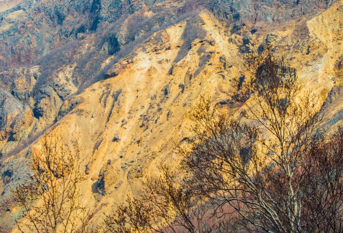 外出随拍（续318）.