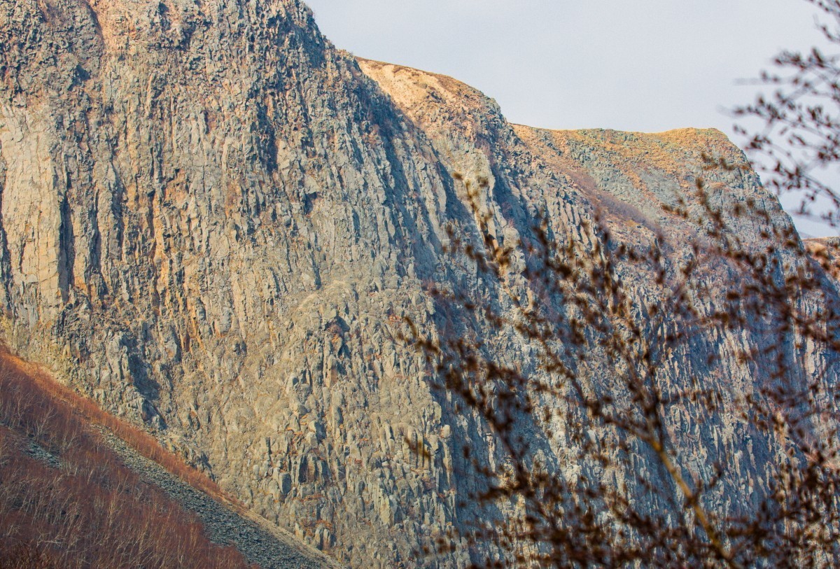 外出随拍（续318）.