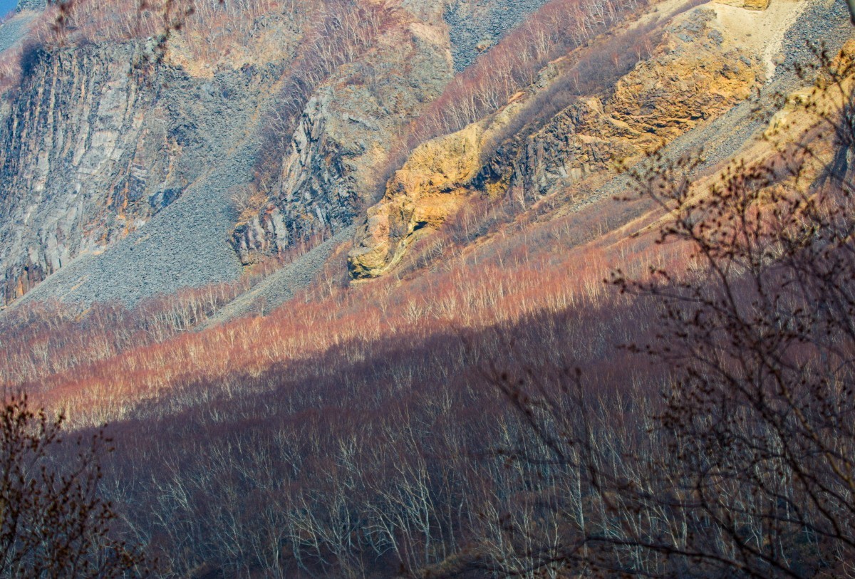 外出随拍（续318）.