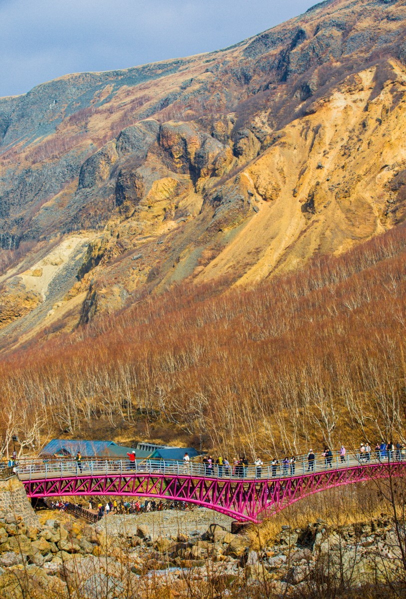 外出随拍（续318）.