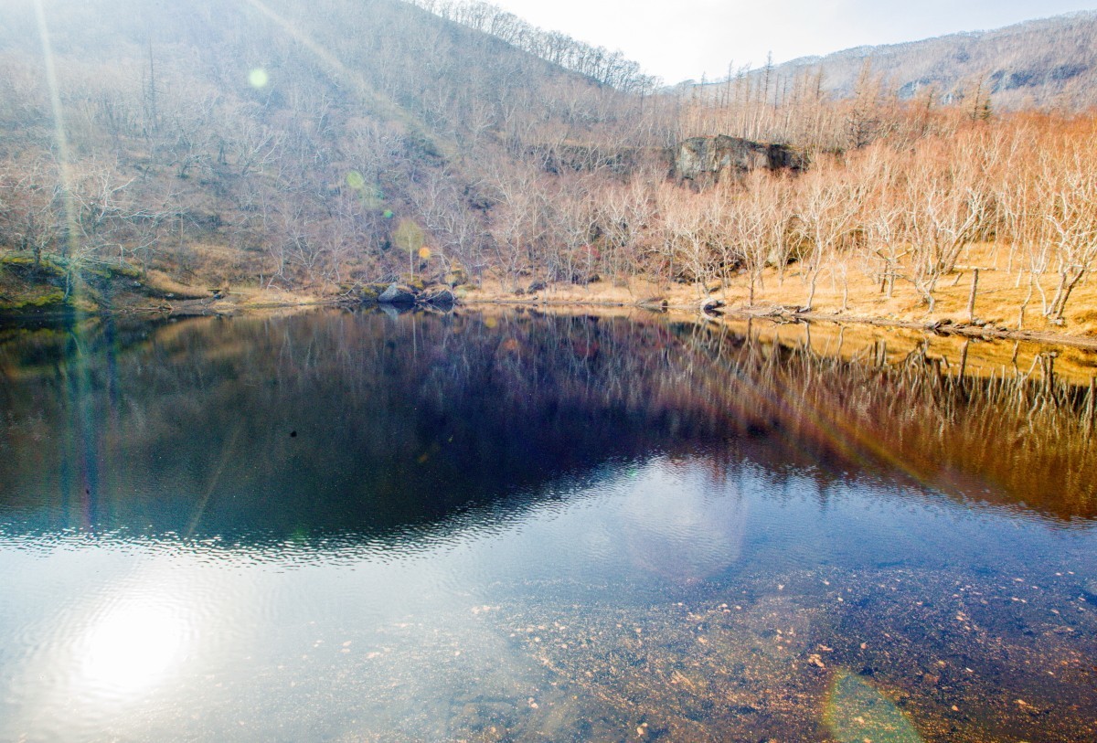 外出随拍（续318）.