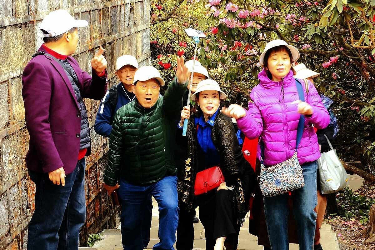 开心的游客们
