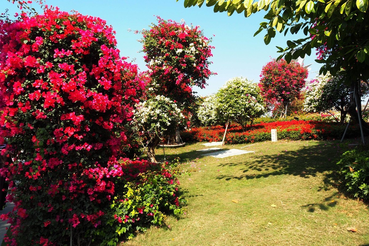 三崖城——三角梅公园（2）