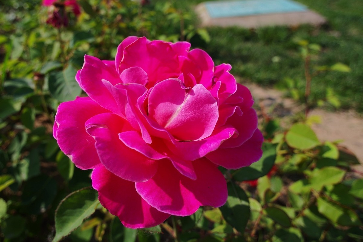 不走寻常路，超广也拍花