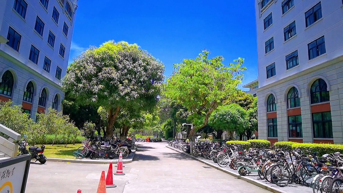 手機視頻截圖：廈門旅行記（51）