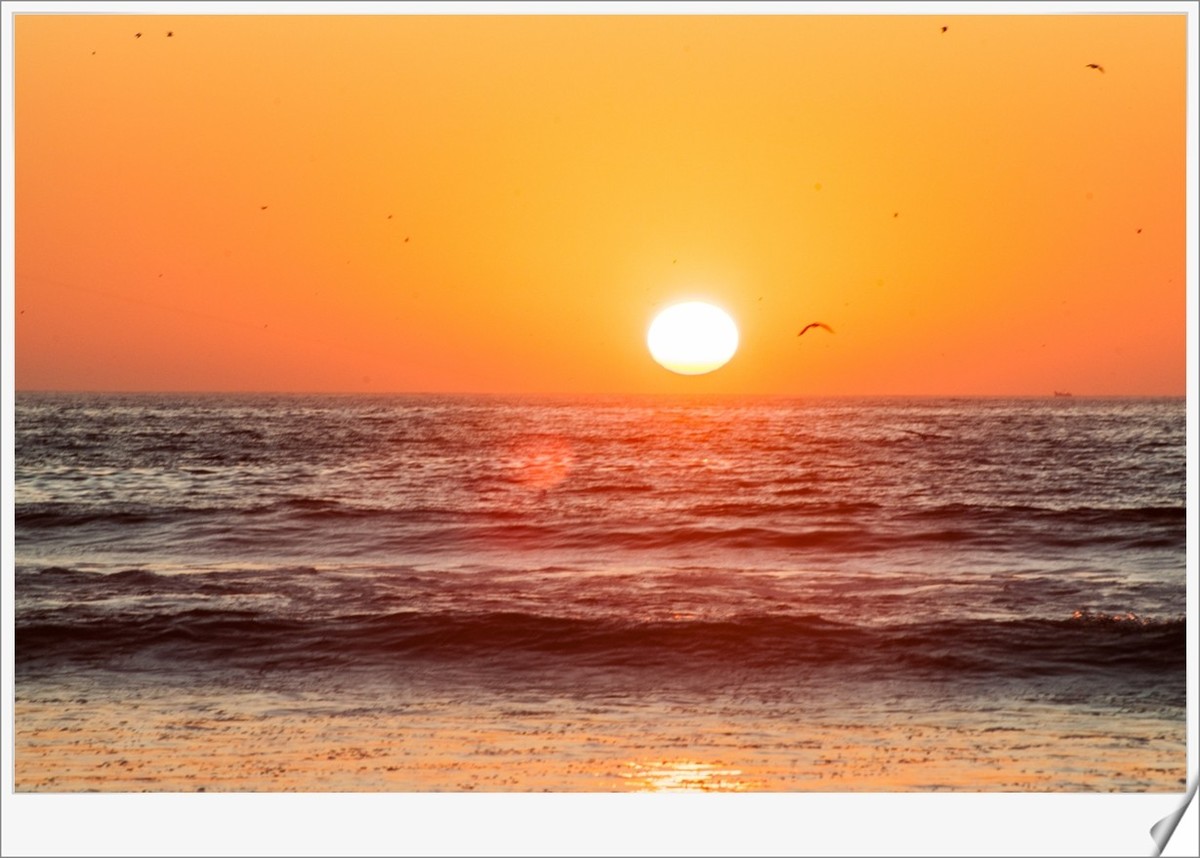 携“沙海日落（摩洛哥）”--辞旧迎新，祝师友节日快乐！！