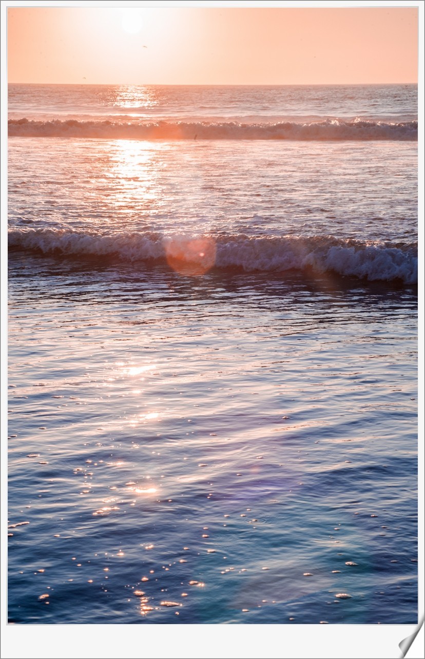 携“沙海日落（摩洛哥）”--辞旧迎新，祝师友节日快乐！！