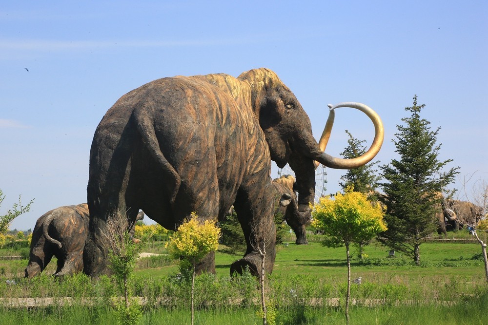 《不老松：纪实摄影》驰骋呼伦贝尔6猛犸公园之4