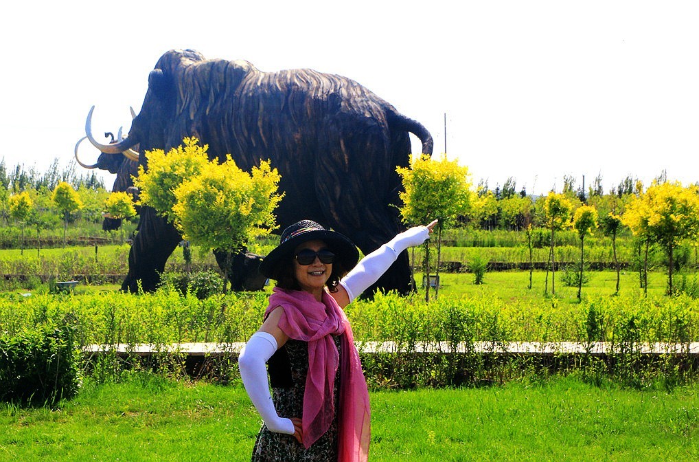 《不老松：纪实摄影》驰骋呼伦贝尔6猛犸公园之4