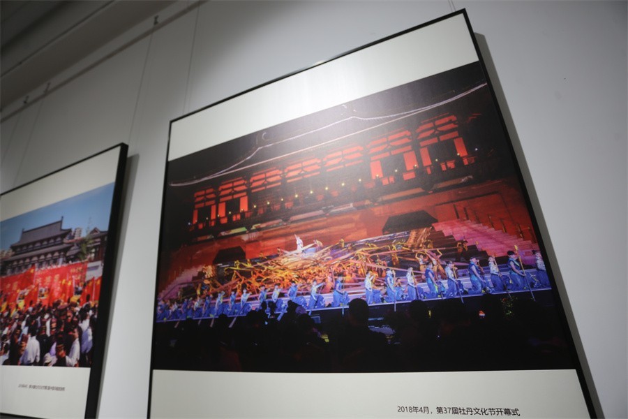 高均海摄影艺术40年系列展【牡丹记】今日举行