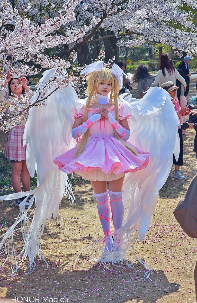 请假出个热闹帖《樱花节中忙活的美女们》唉！今年事多，又要出去趟过几天再回来！