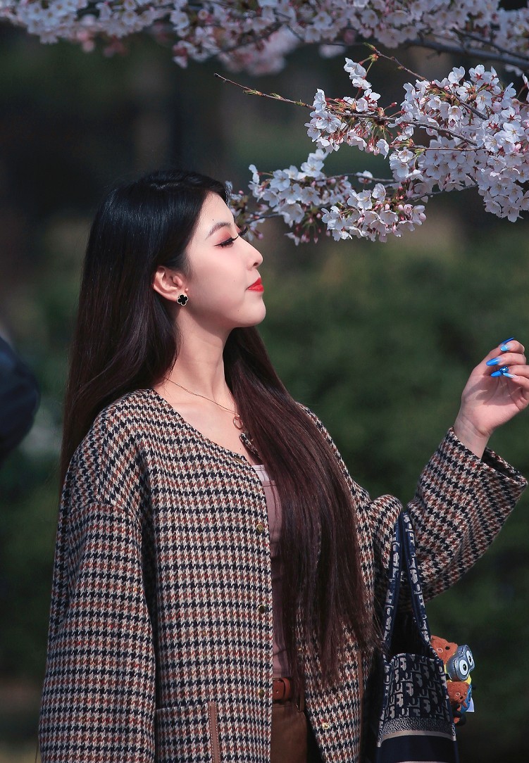 请假出个热闹帖《樱花节中忙活的美女们》唉！今年事多，又要出去趟过几天再回来！