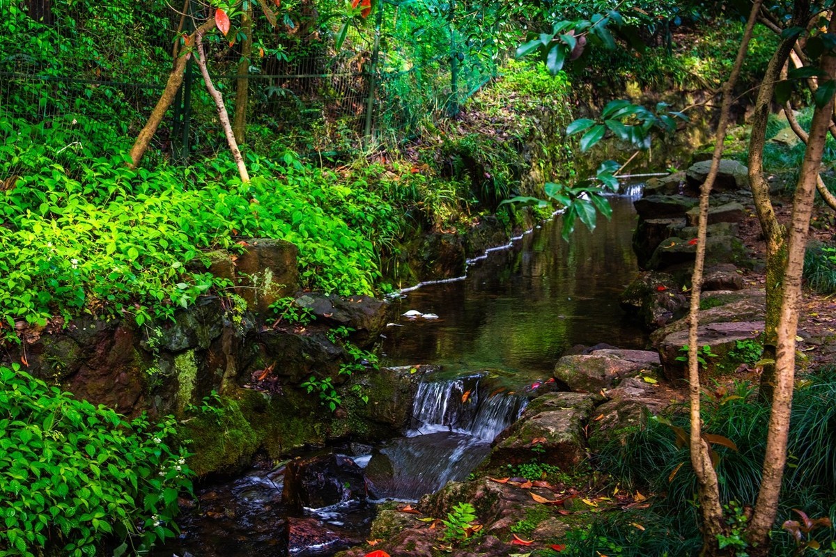 杭州—六和塔(7)