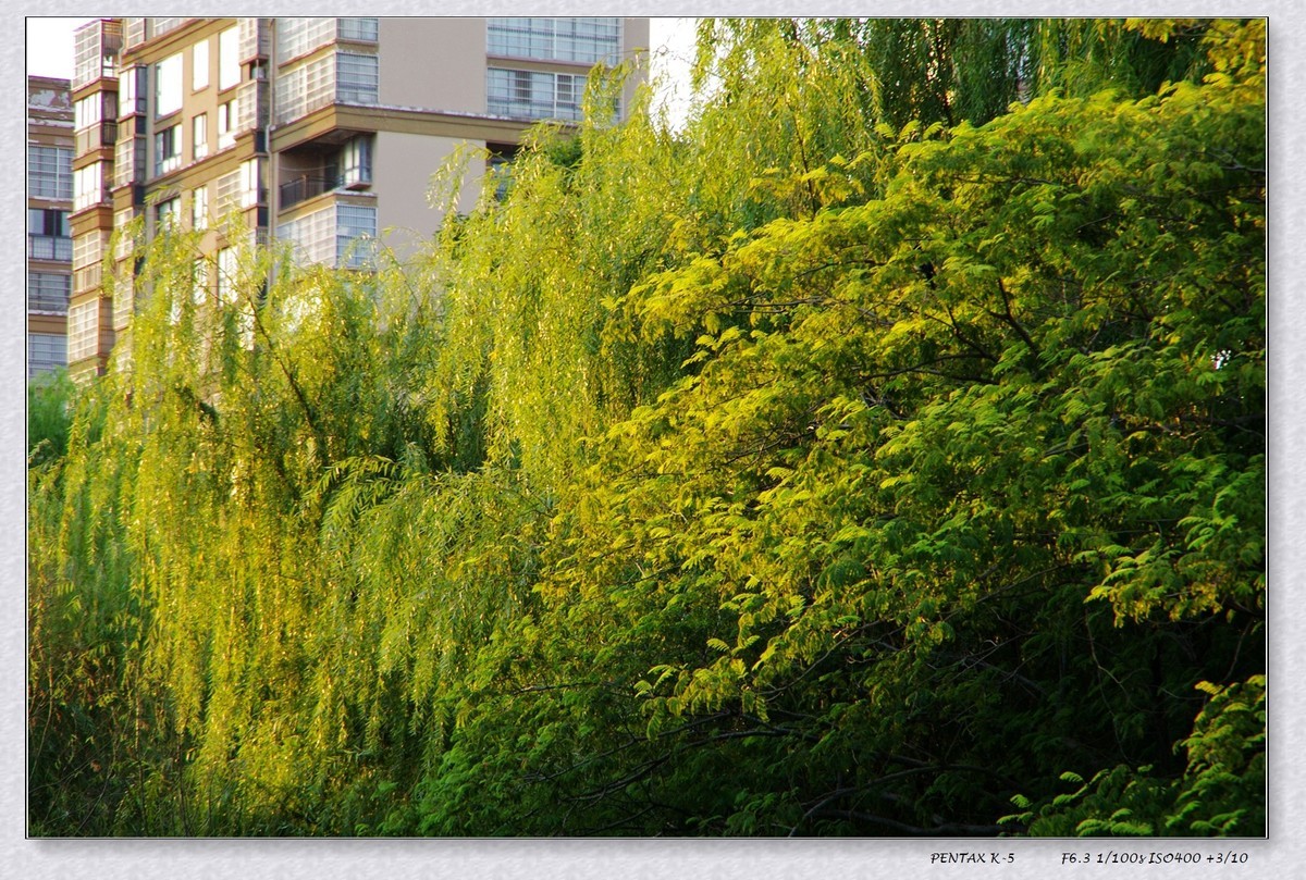 2024年国庆节扫街 重温宾得色彩