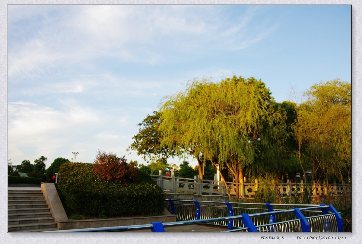 2024年国庆节扫街 重温宾得色彩