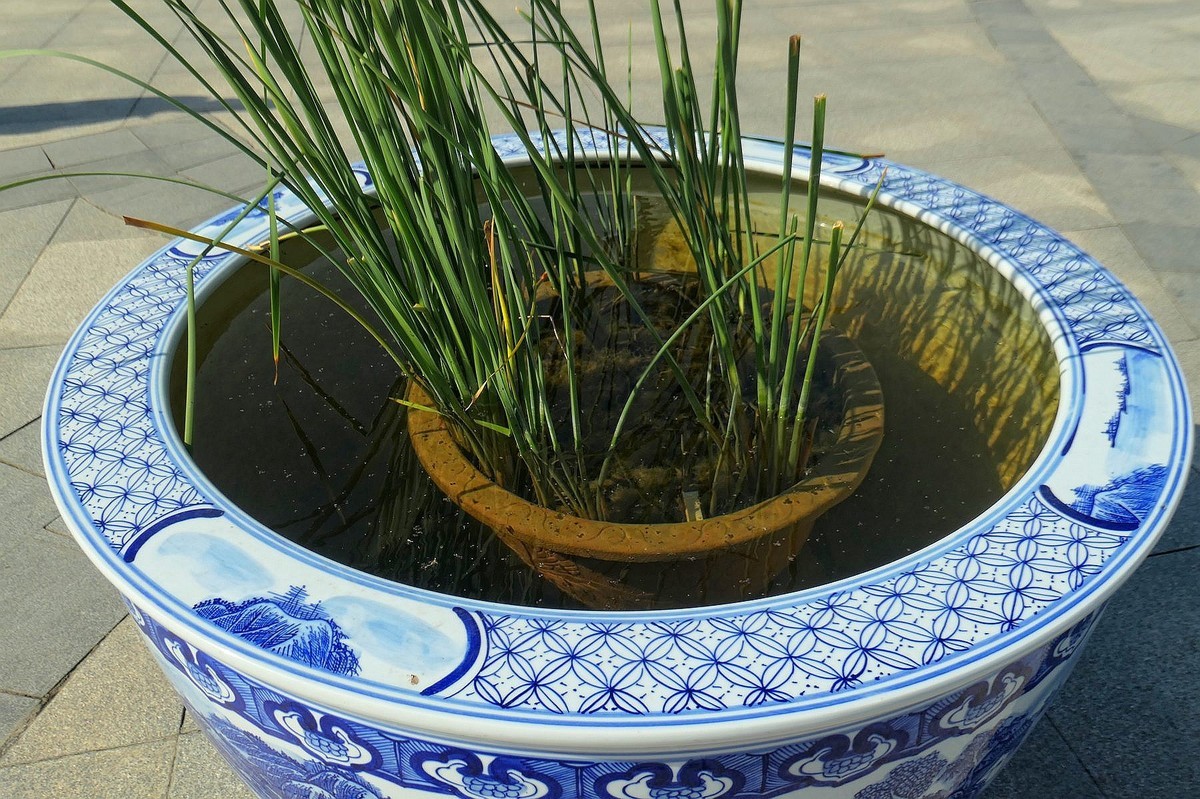 归元寺风光与银杏五