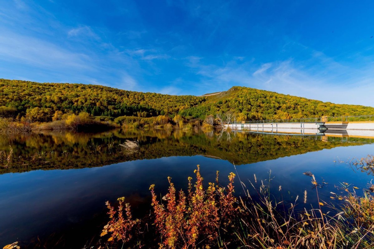 七彩森林景区|云天收夏色 木叶动秋生