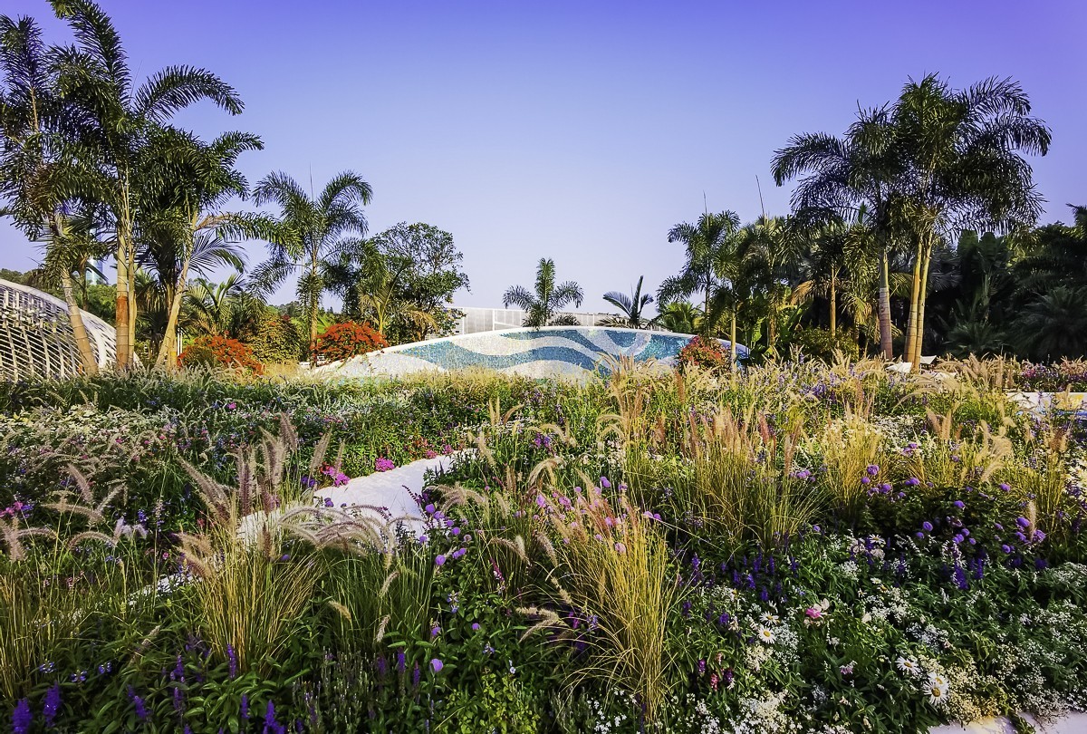 深圳莲花山公园掠影