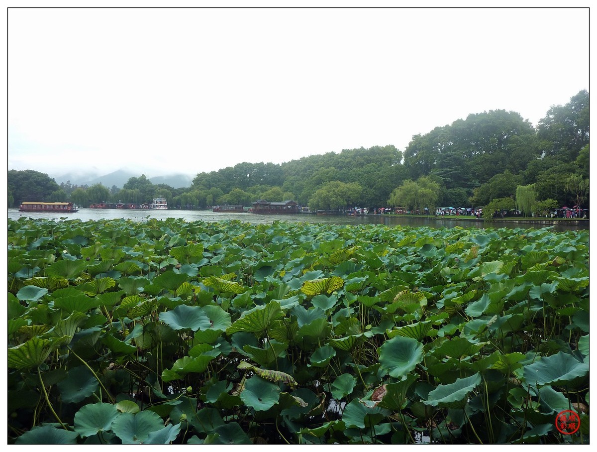 旅游随拍-----浙江杭州西湖(断桥段)风景(中)