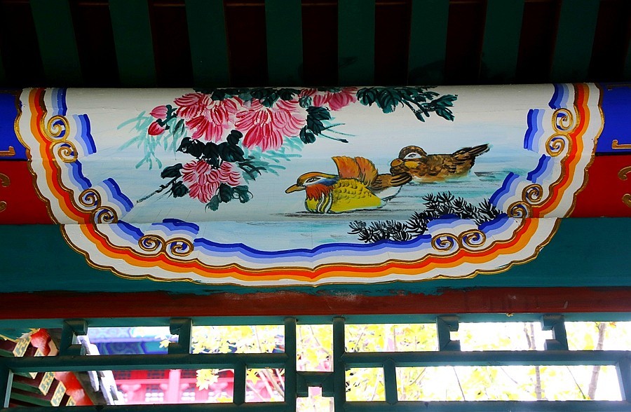 《不老松：纪实摄影》大美沧州系列報道：〔6〕朗吟楼！ (6)长廊美图！