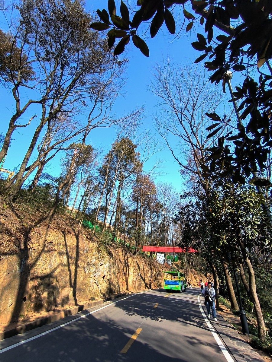 漫步星城 走街串巷（406）岳麓山