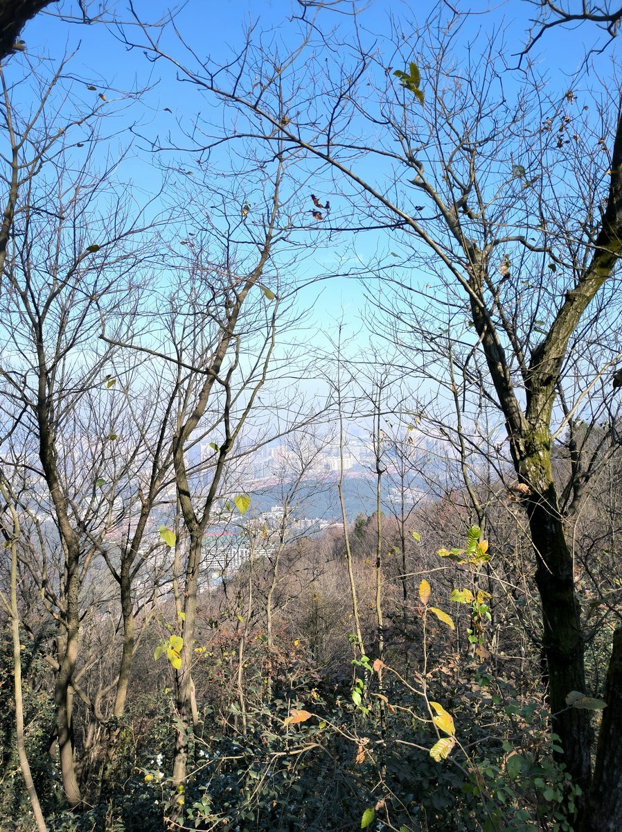 漫步星城 走街串巷（406）岳麓山