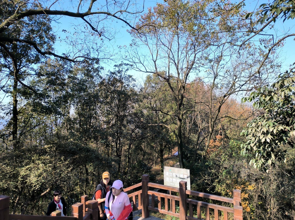 漫步星城 走街串巷（406）岳麓山