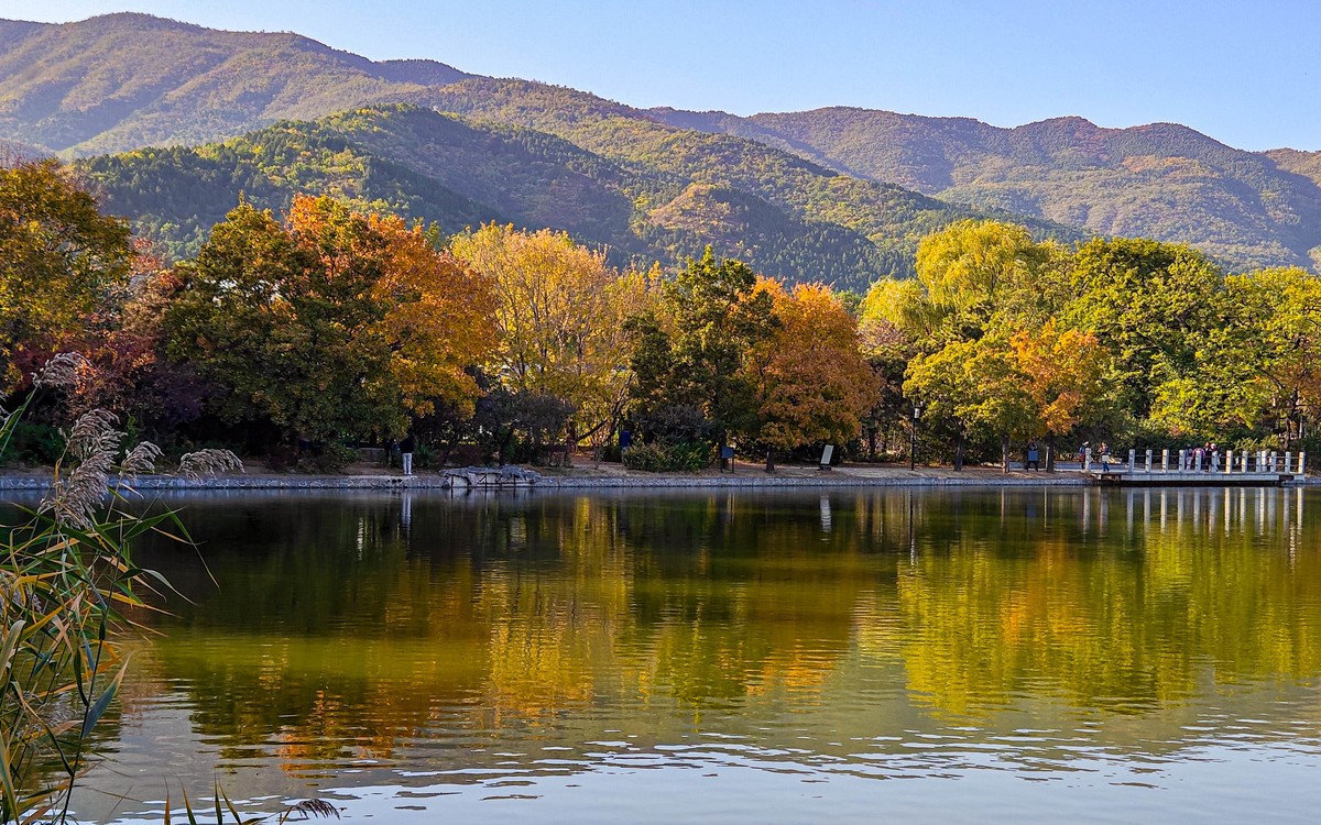 手机随拍20231026《293》