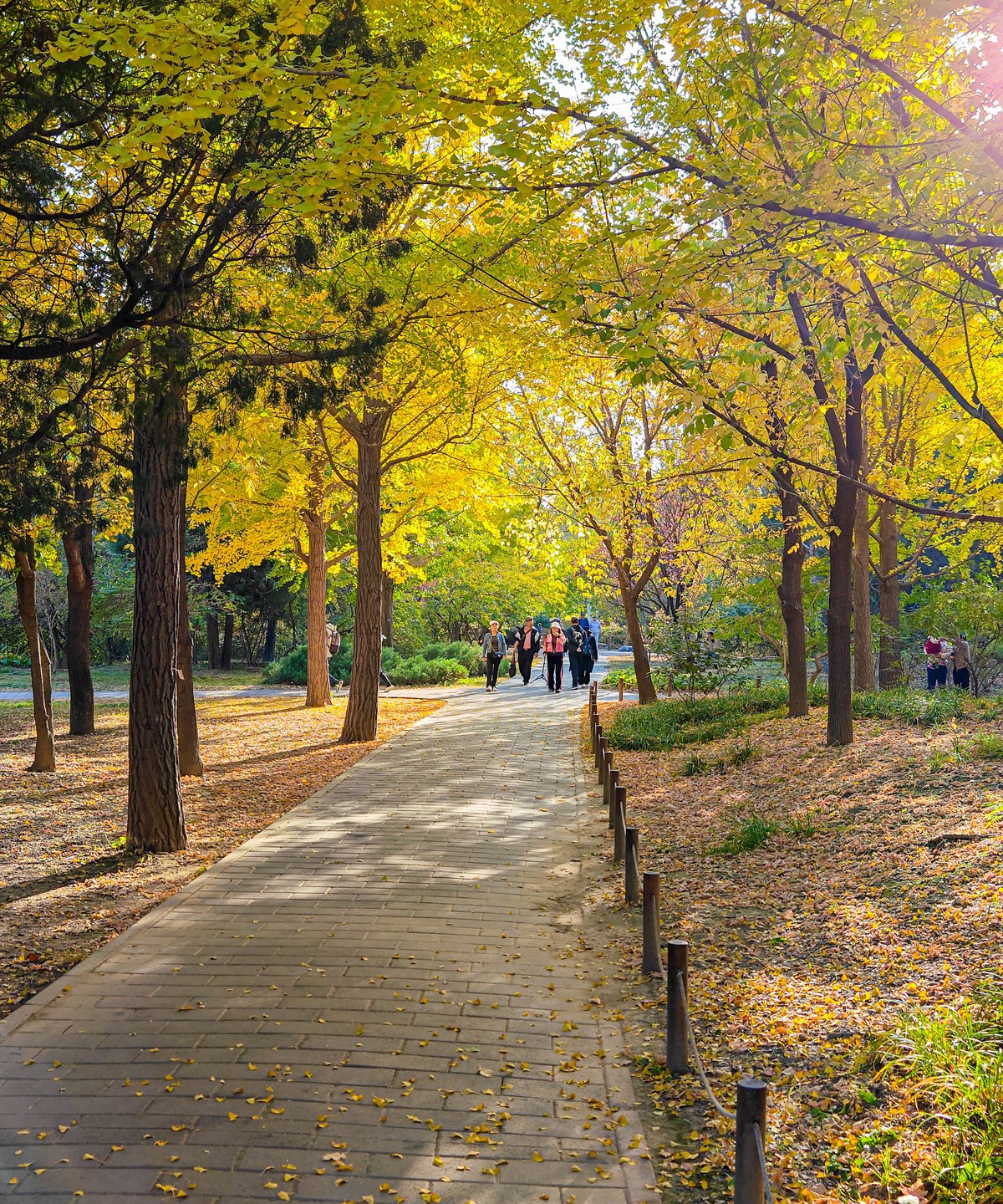 手机随拍20231026《293》