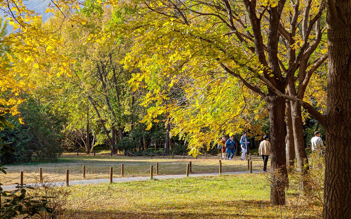 手机随拍20231026《293》