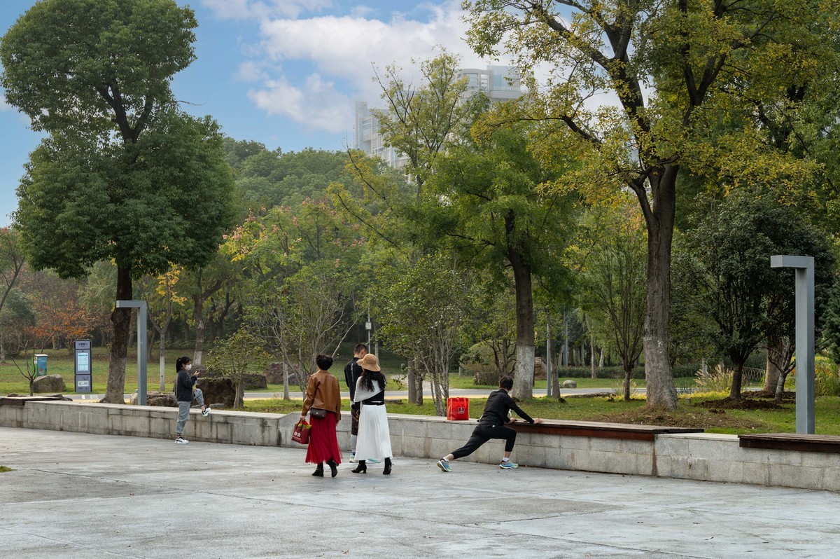 庐州印象（396）南艳湖公园粉黛花开