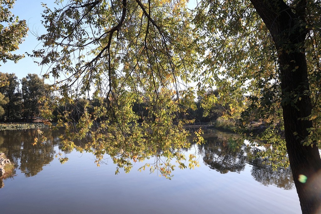 秋色中的圆明园