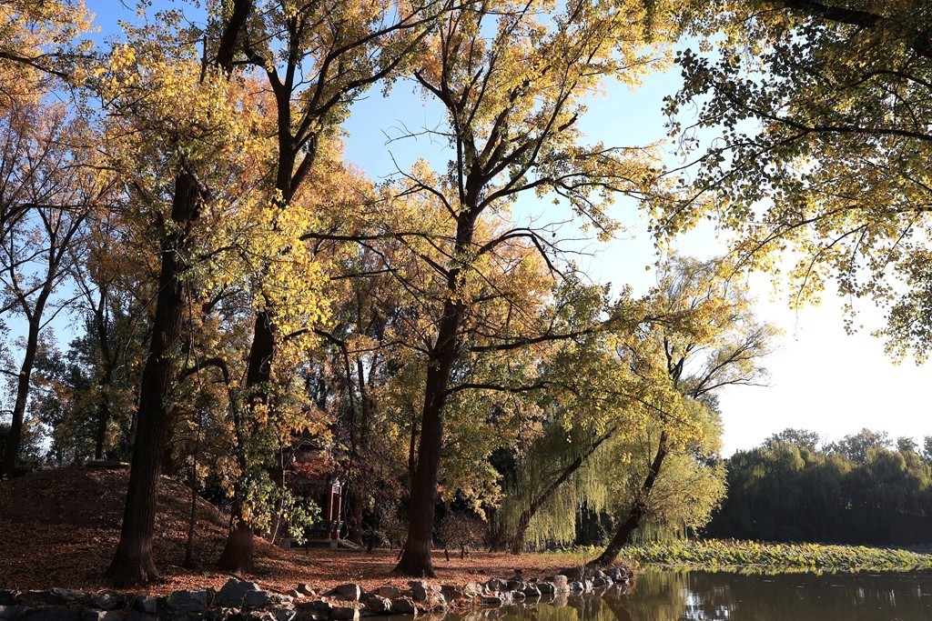 秋色中的圆明园