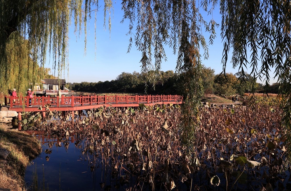 秋色中的圆明园