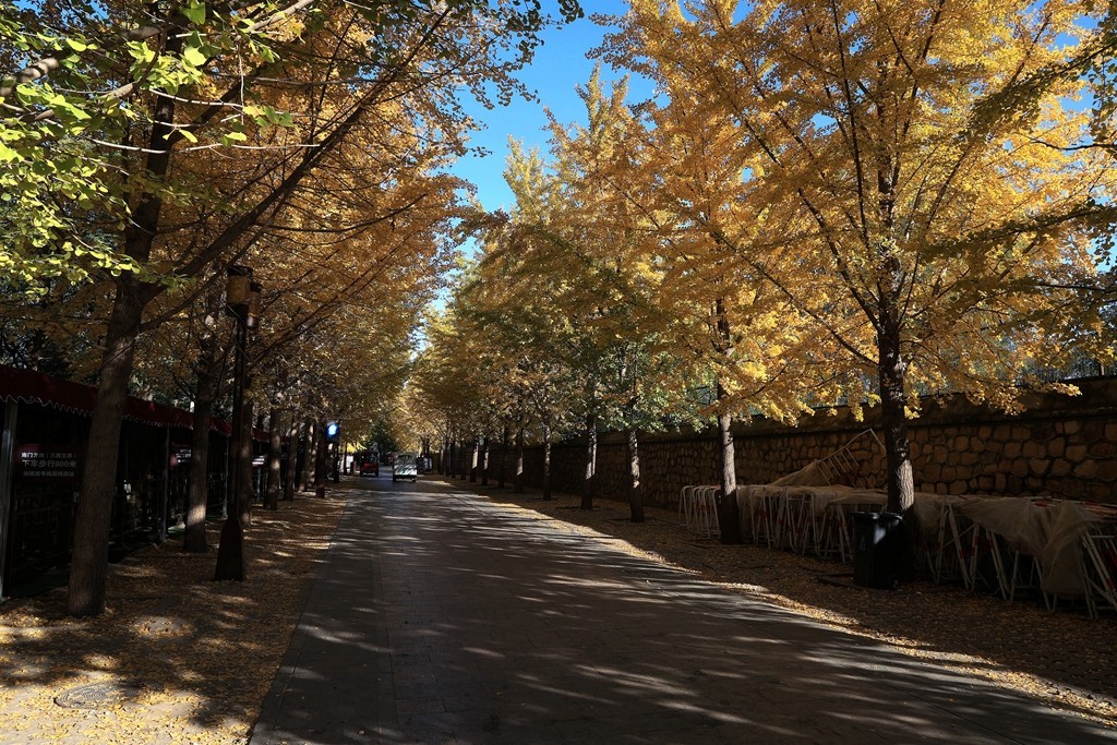 秋色中的圆明园