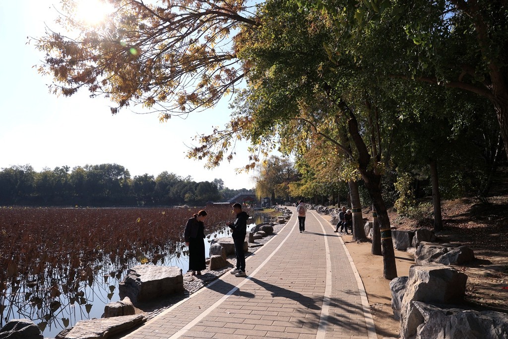 秋色中的圆明园