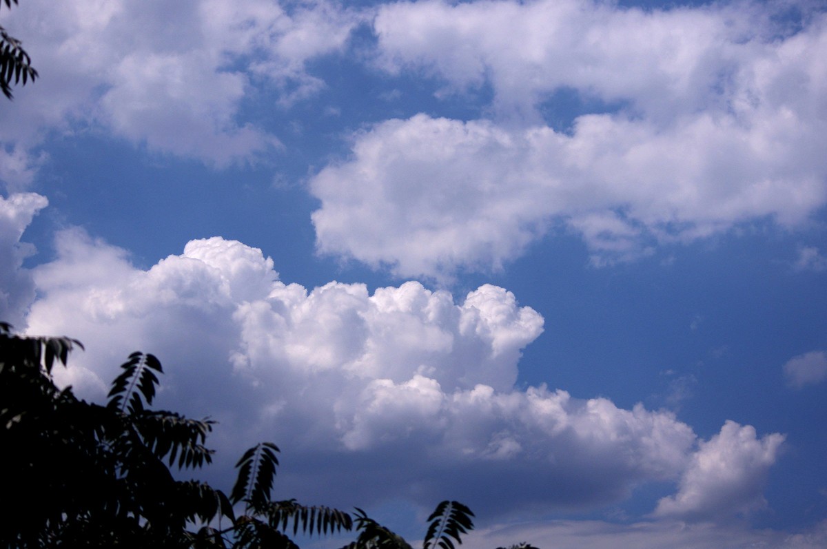 就喜欢看蓝天白云