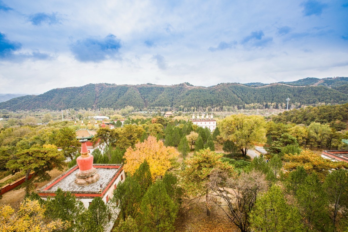 外出随拍（续320）.