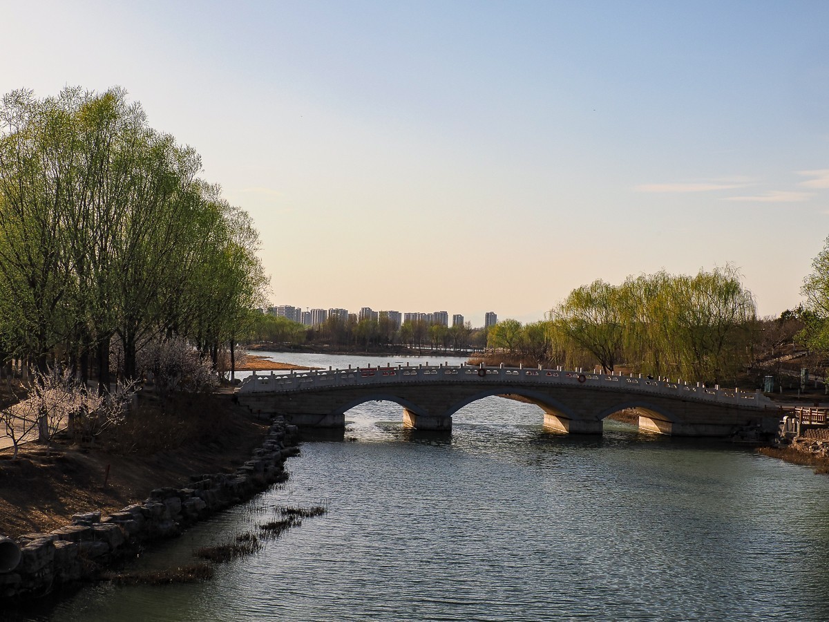 2025年3月21日，南-海-子公园，麋鹿不遇